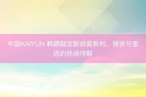 中国KAIYUN 鹈鹕敲定新帅莫斯利，锡安与奎因的热闹待解