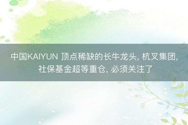 中国KAIYUN 顶点稀缺的长牛龙头， 杭叉集团， 社保基金超等重仓， 必须关注了