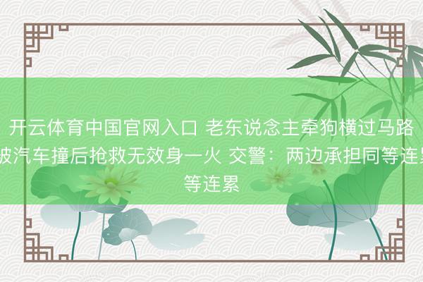 开云体育中国官网入口 老东说念主牵狗横过马路 被汽车撞后抢救无效身一火 交警:两边承担同等连累