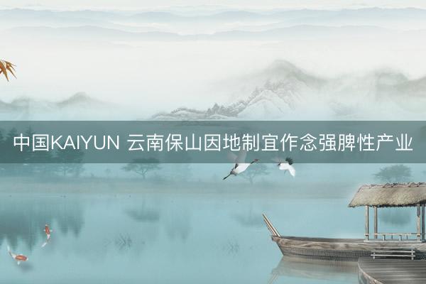 中国KAIYUN 云南保山因地制宜作念强脾性产业
