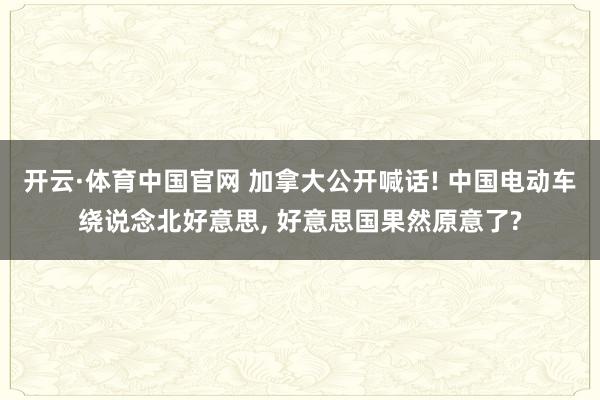 开云·体育中国官网 加拿大公开喊话! 中国电动车绕说念北好意思, 好意思国果然原意了?